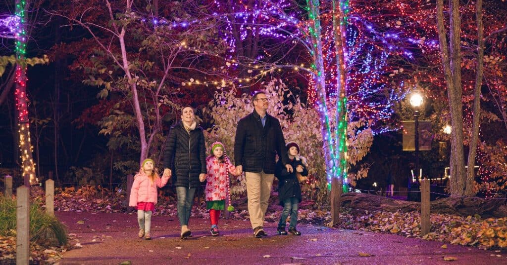 Lincoln Park Zoo, zoolights