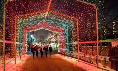Lincoln Park Zoo, zoolights