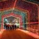 Lincoln Park Zoo, zoolights