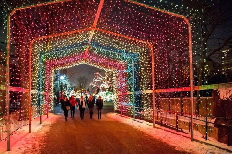 Lincoln Park Zoo, zoolights
