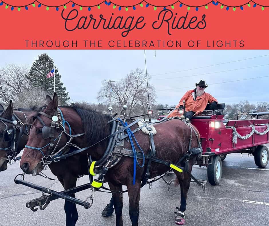 Celebration of Lights – LaSalle