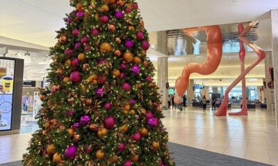 Tampa International Airport