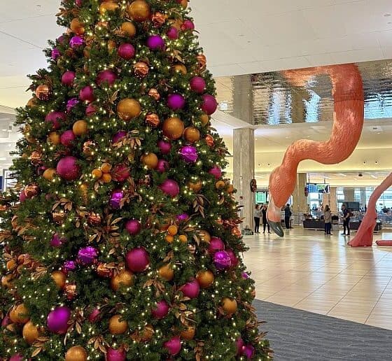 Tampa International Airport