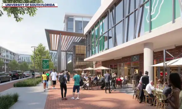 uniwersytet Południowej Florydy