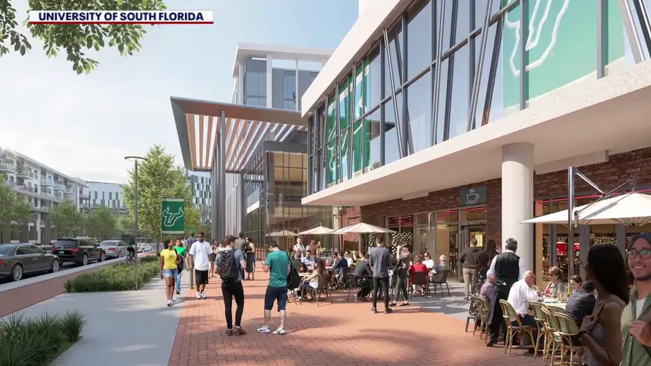 uniwersytet Południowej Florydy