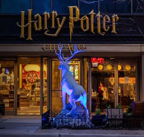 harry potter shop chicago
