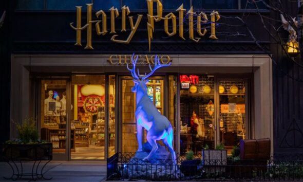 harry potter shop chicago