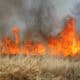 pożar trawy susza