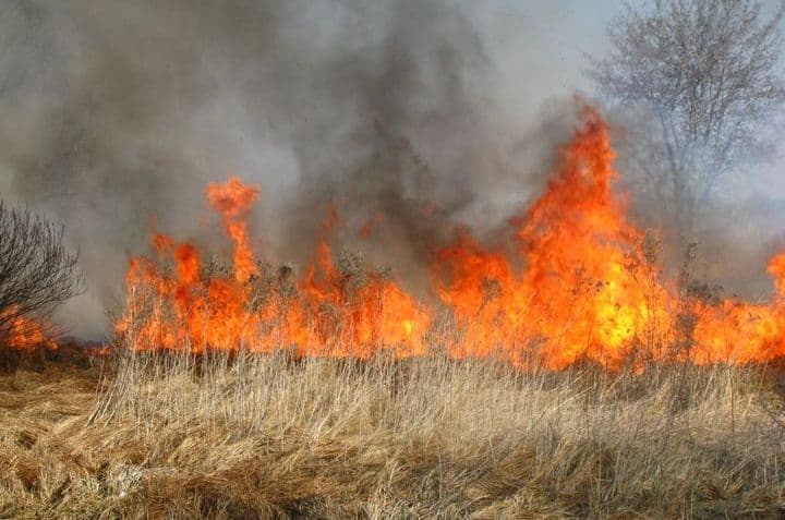 pożar trawy susza