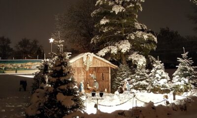 Lehnertz Avenue Christmas Display