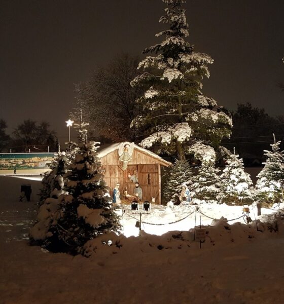 Lehnertz Avenue Christmas Display