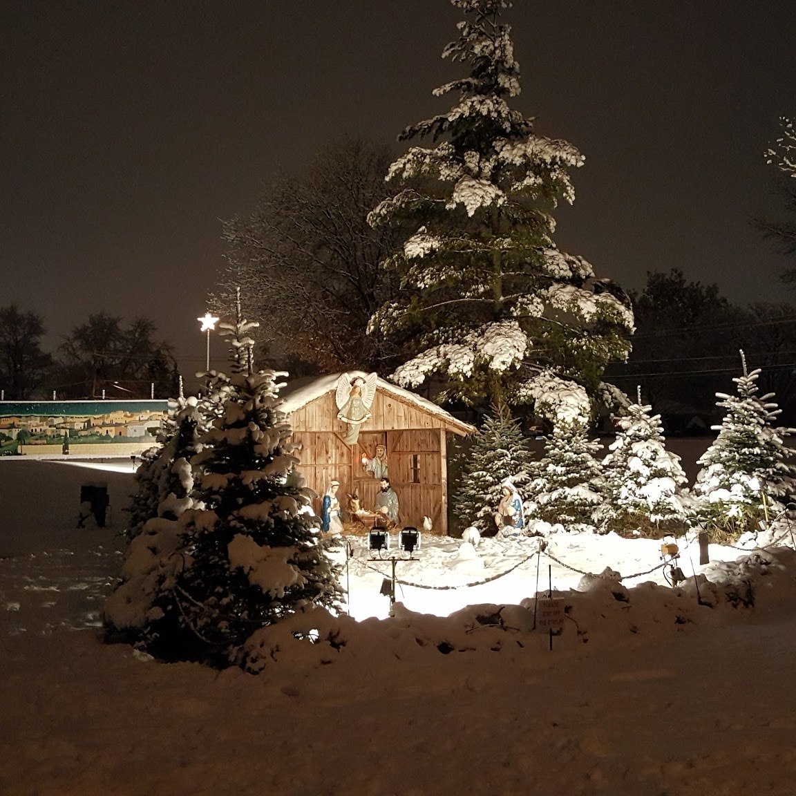 Lehnertz Avenue Christmas Display