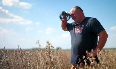 farmer, rolnik, zboże