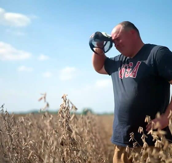 farmer, rolnik, zboże