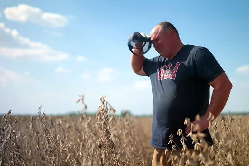 farmer, rolnik, zboże