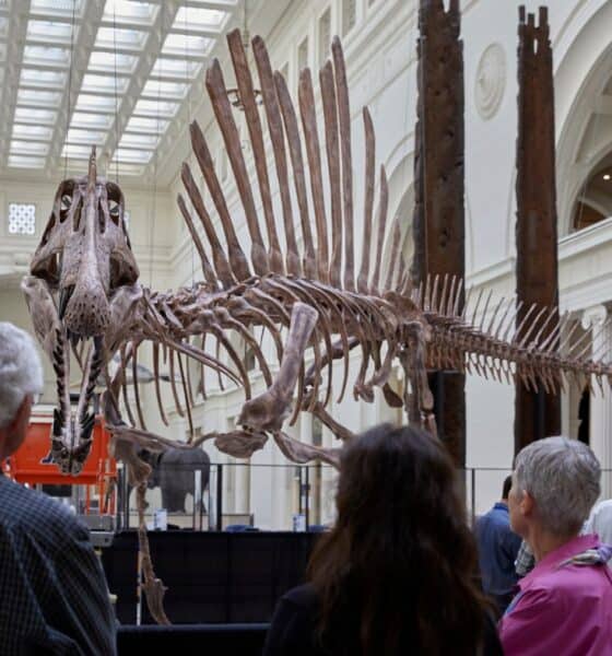 Field Museum