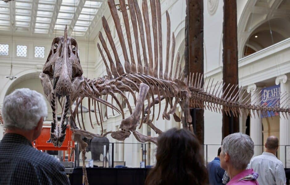 Field Museum
