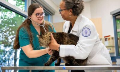 Chicago College of Veterinary Medicine (CCVM)