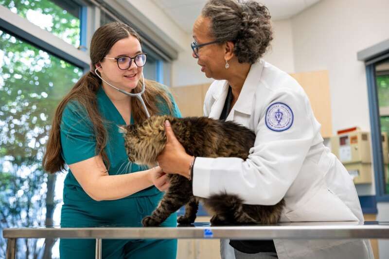 Chicago College of Veterinary Medicine (CCVM)