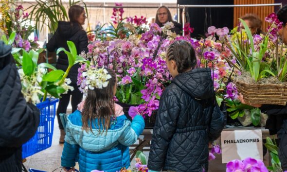 Chicago-Botanic-Garden