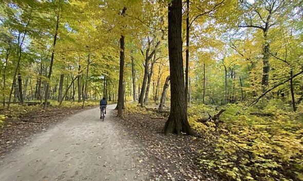 Des-Plaines-River-Trail