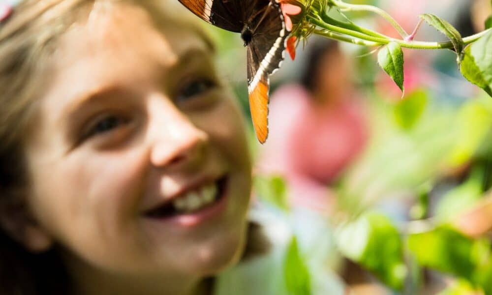 Peggy Notebaert Nature Museum