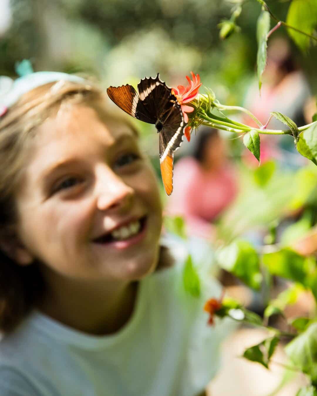 Peggy Notebaert Nature Museum