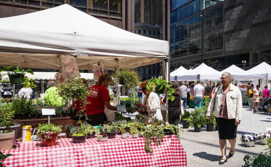 chicago-farmer-markets