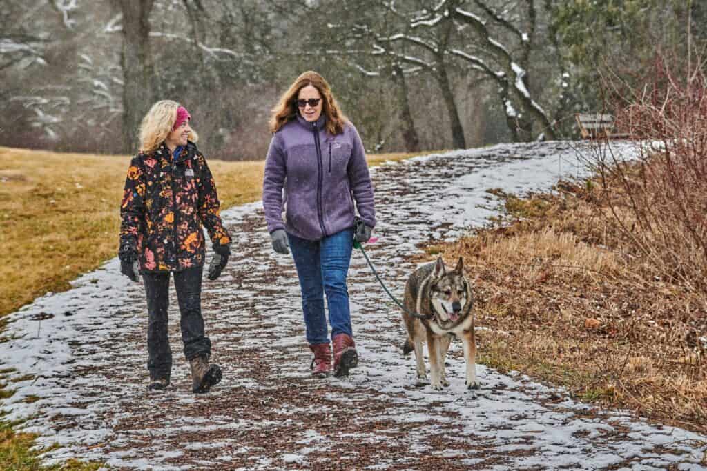 morton-dog-admission-days