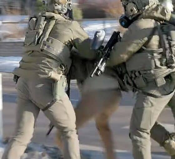 alex pretti 13stycznia