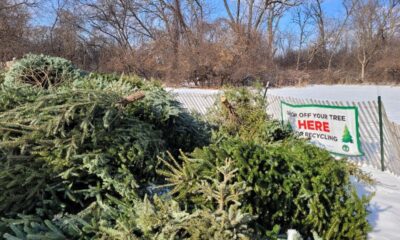 Chicago Department of Streets and Sanitation