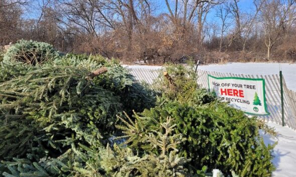 Chicago Department of Streets and Sanitation