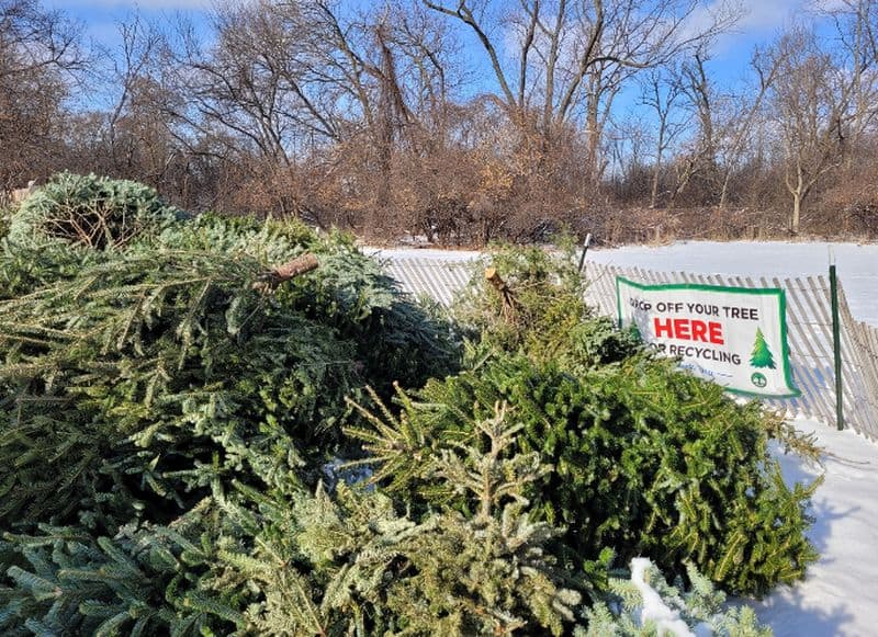 Chicago Department of Streets and Sanitation