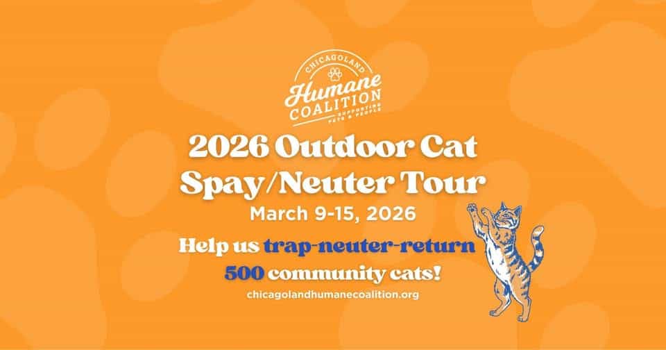 Chicagoland-Humane-Coalition