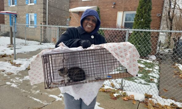 Chicagoland-Humane-Coalition