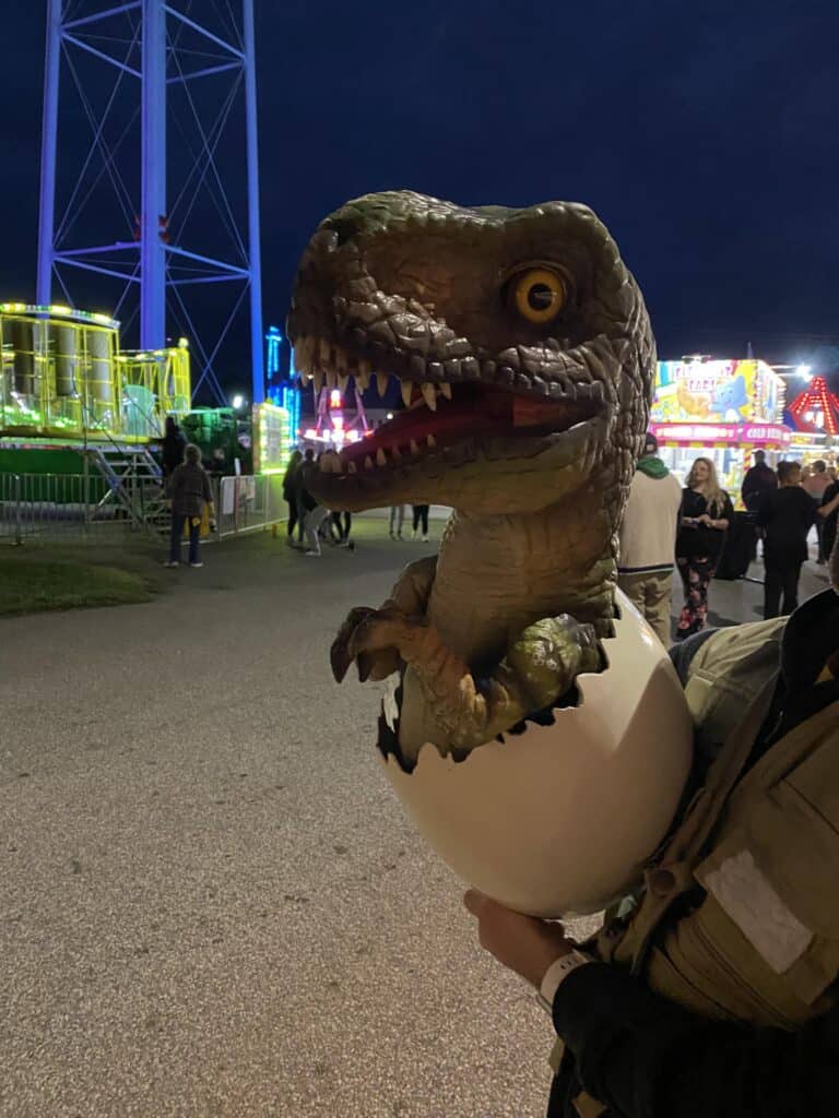 Dinosaur Dimensions Expedition