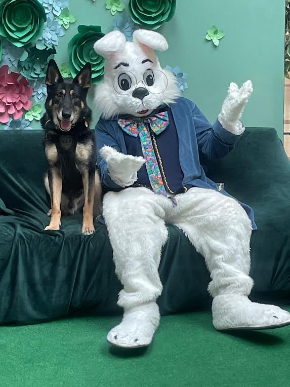 Gurnee-Mills-easter-bunny