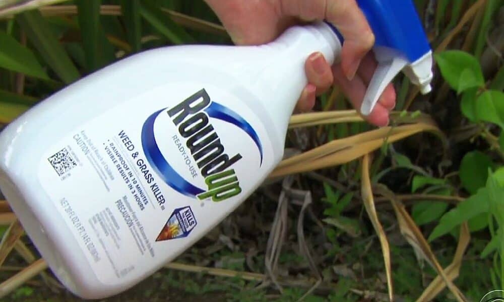 roundup