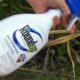 roundup
