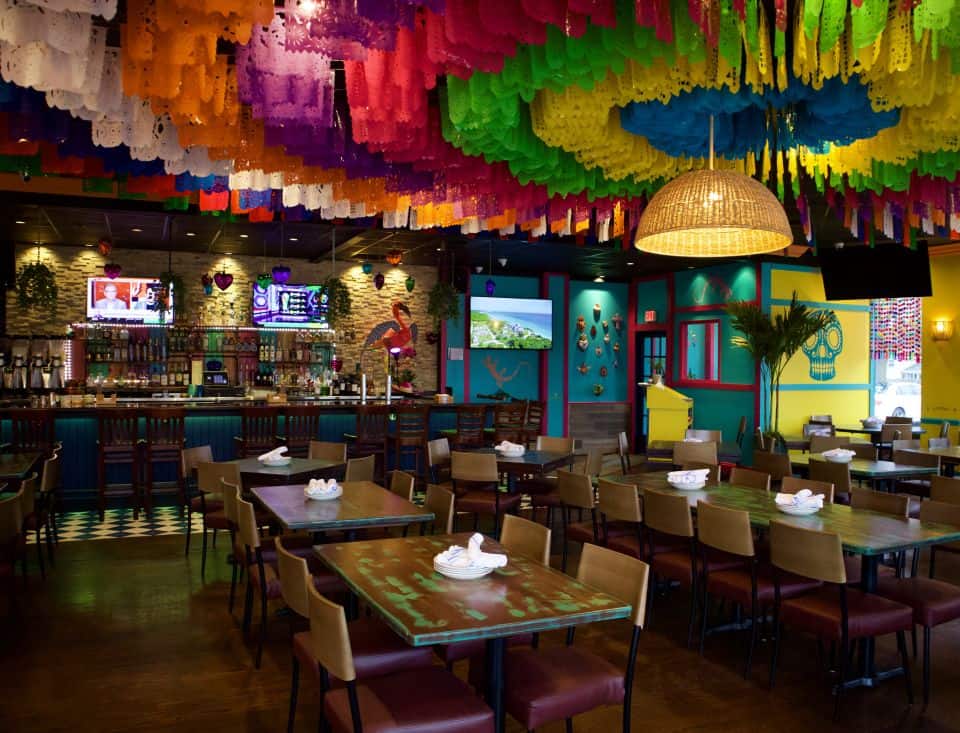 restauracja sayulita taco