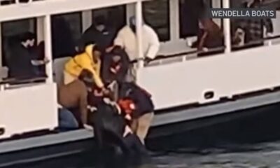 vendella statek akcja ratunkowa