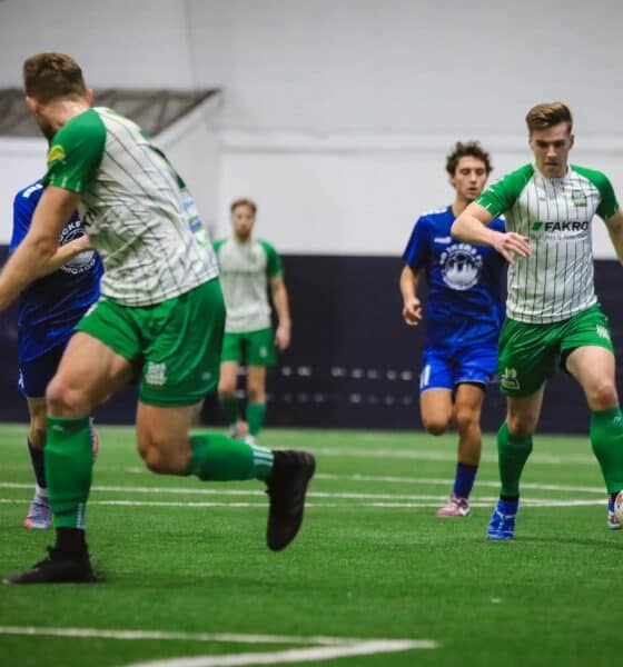 wisłoka chicagp hala