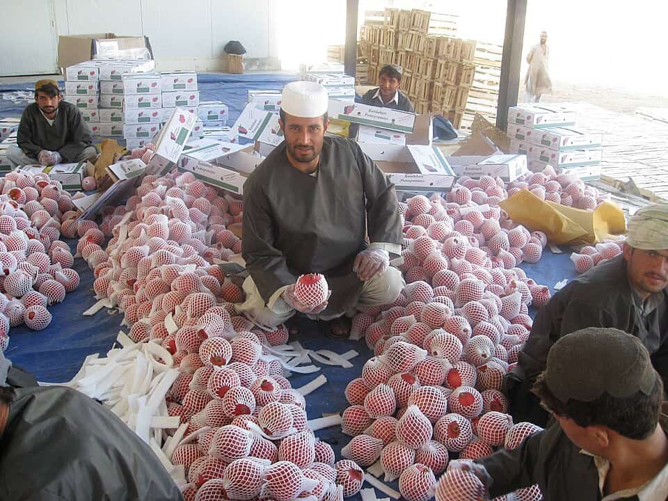 Afganistan