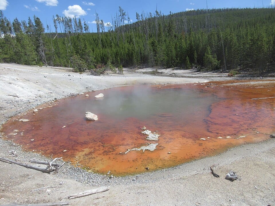 echinus gejzer yellowstone
