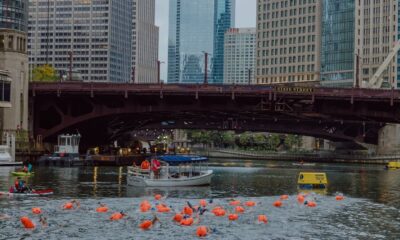 Chicago River Swim