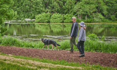 Dog_Admission_Day-morton
