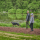 Dog_Admission_Day-morton