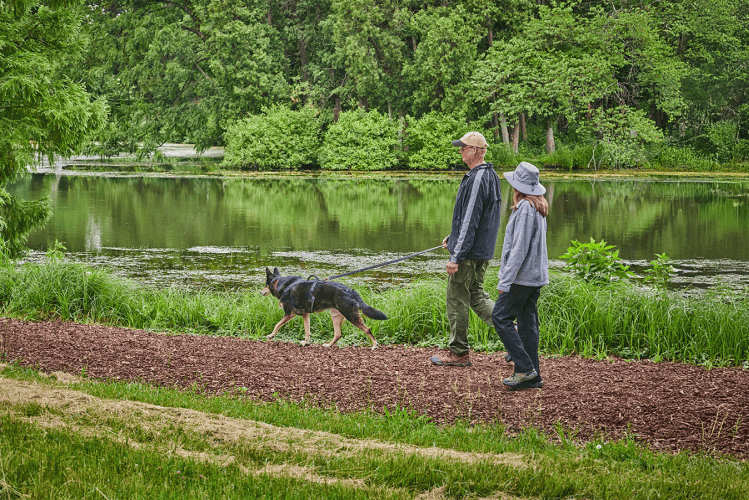 Dog_Admission_Day-morton
