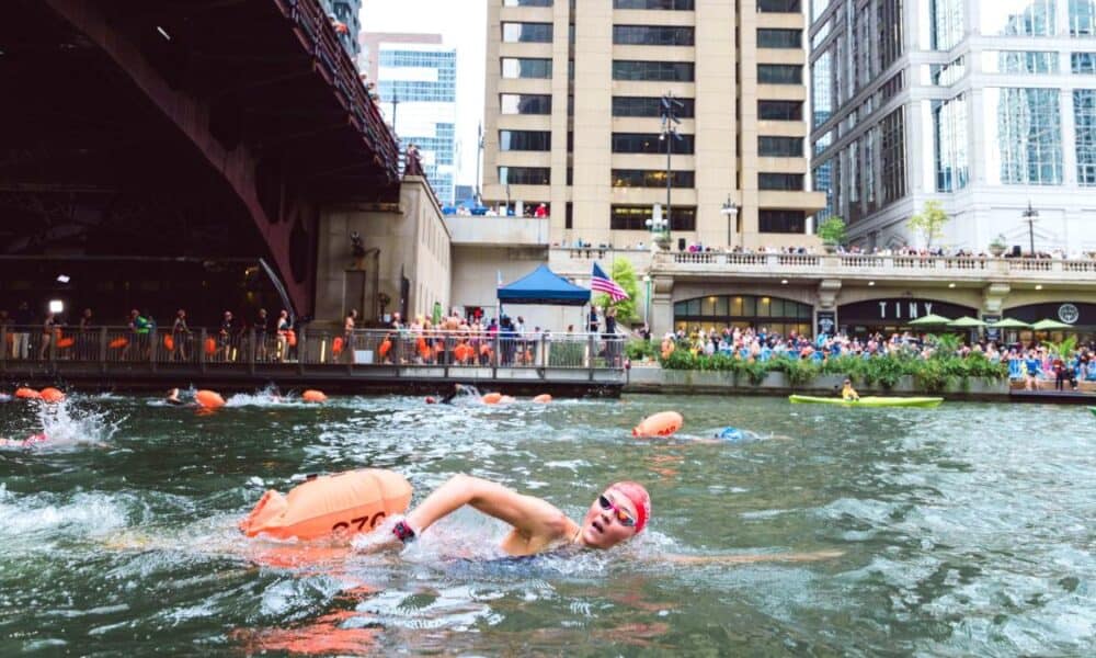Chicago river swim