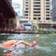 Chicago river swim